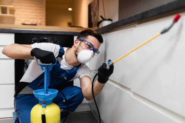 Best Cockroach Control Services  in Waawa, HI