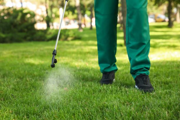 Best Best Pest Control Companies  in Waawa, HI