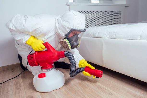 Best Pest Removal Services  in Waawa, HI
