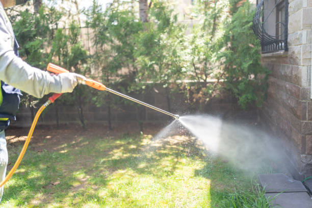 Best Affordable Pest Control Services  in Waawa, HI