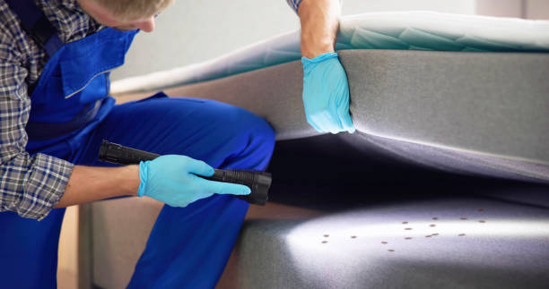 Professional Pest Control in Wahiawa, HI