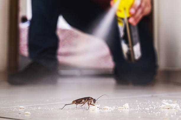 Best Commercial Pest Control Services  in Waawa, HI